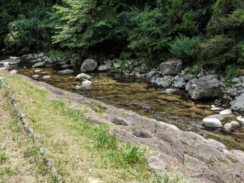 水と緑の杜公園っていいところだ！