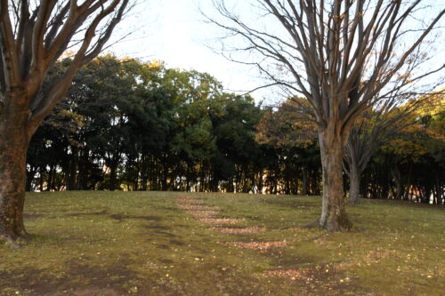 大岡公園