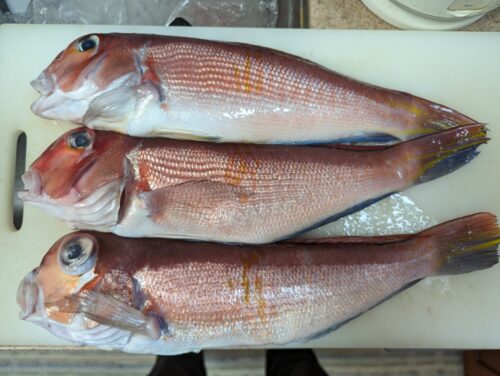 沼津で魚を買うなら「山正」