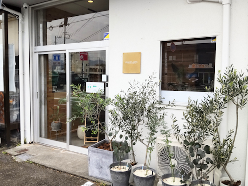 会員制 =無人= 観葉植物ショップ 「ONE PLANTS」