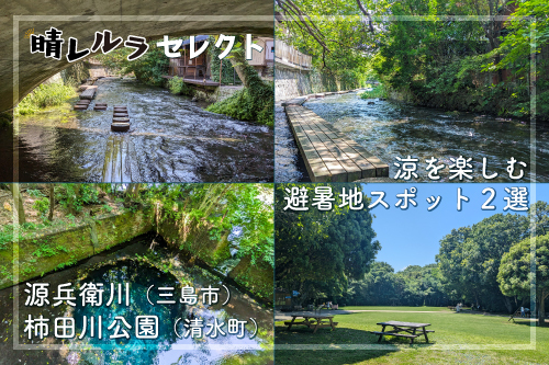 特集